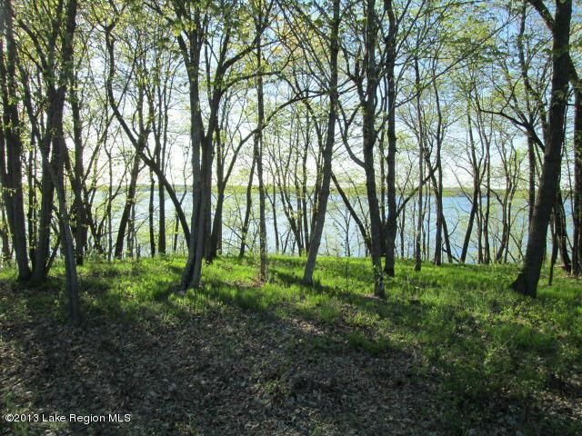 37xxx Mallard Loop, Perham, MN 56573
