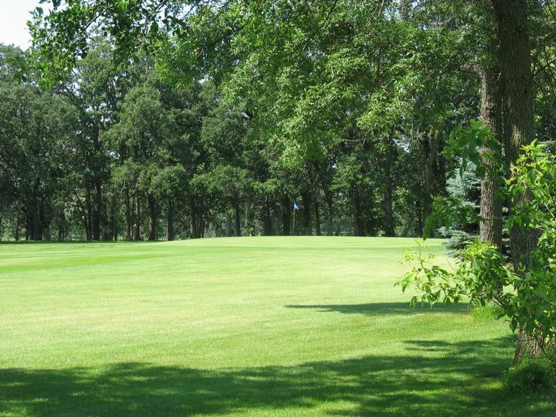 Lot 2 Blk2 285th St, Battle Lake, MN 56515