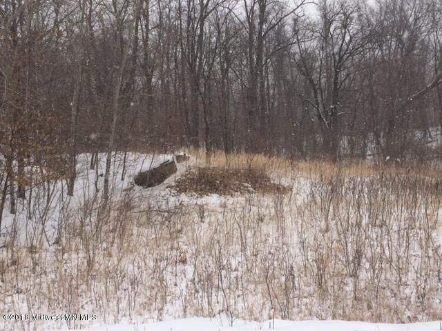 00000 301st St, Deer Creek, MN 56527