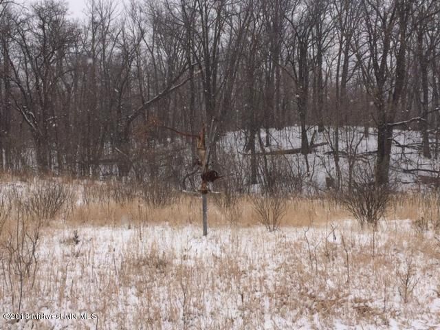 00000 301st St, Deer Creek, MN 56527