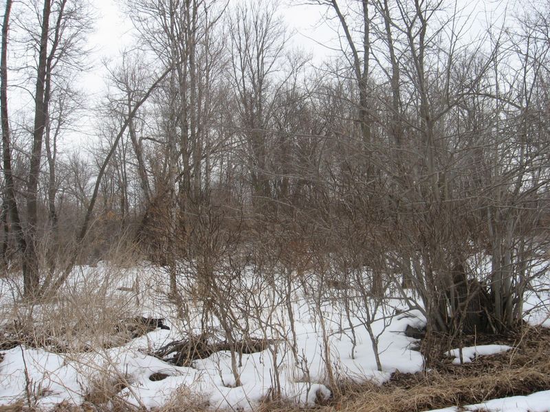 0000 Sugar Maple Dr, Ottertail, MN 56571