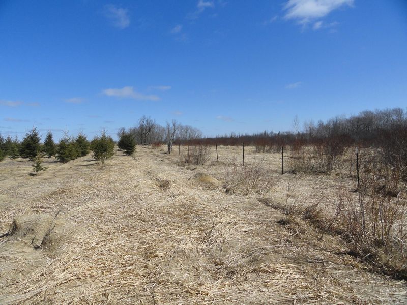 625xx 425th St, Wadena, MN 56482