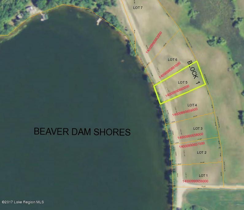 Lot 5 Beaver Dam Rd, Dent, MN 56528