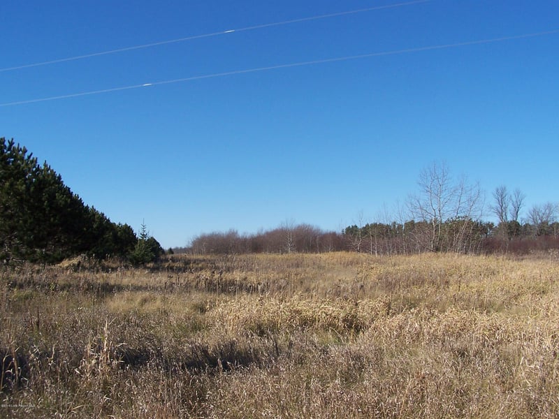 Xxxxxx Co Rd 26, Aldrich, MN 56434