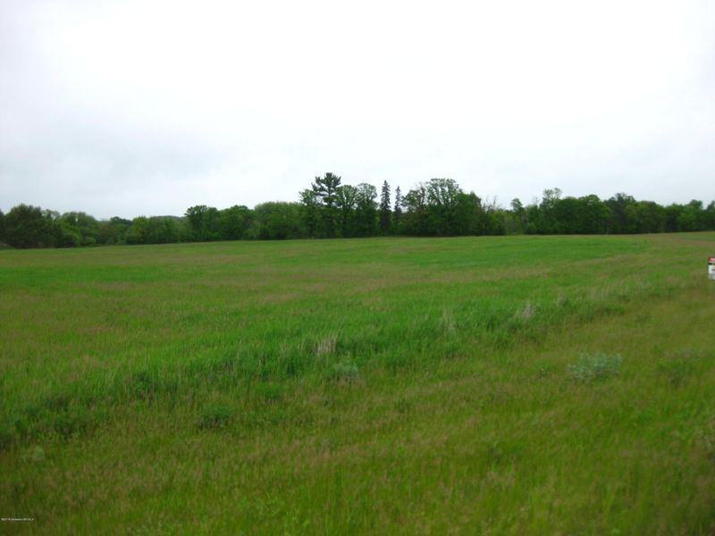Xxx Wintergreen Rd, Perham, MN 56573