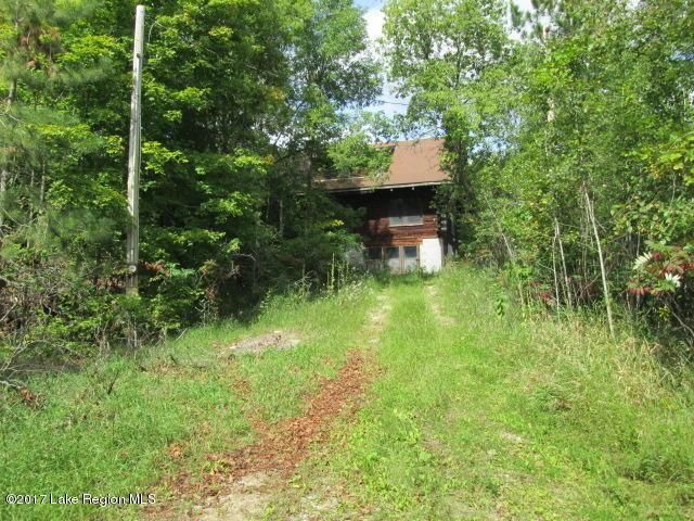 30125 380th St, Dent, MN 56528