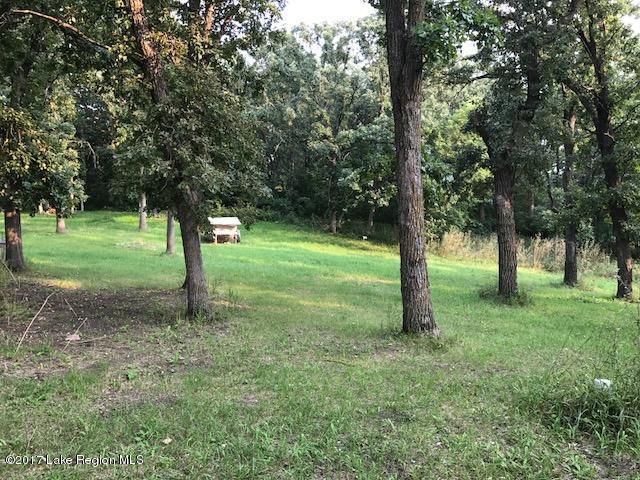 28597 Sherman Lake Rd, Ottertail, MN 56571