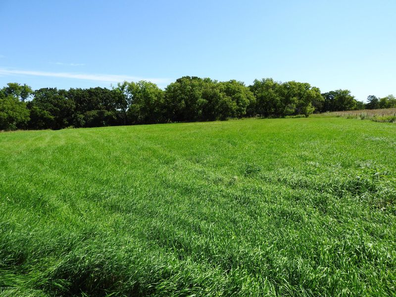 Xx 195 St, Clitherall, MN 56524