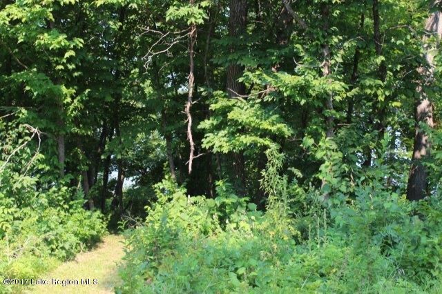Lot1 Blk2 220th St, Vining, MN 56588