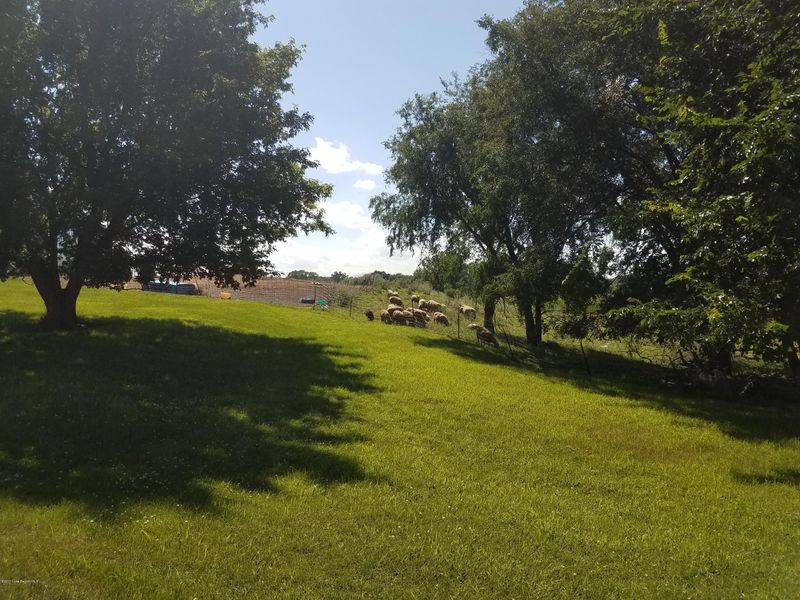 27946 260th St, Underwood, MN 56586