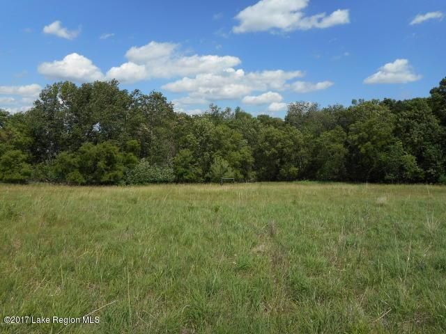 Turtle Bay Development #10 425th Ave, Perham, MN 56573