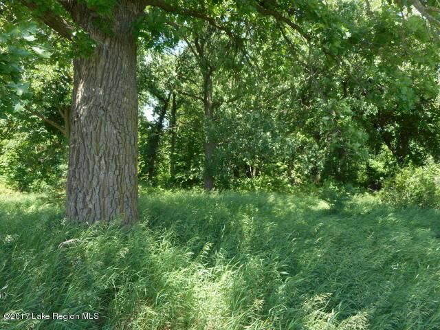 Turtle Bay Development #9 425th Ave, Perham, MN 56573