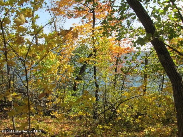 44xxx West Little Mcdonald Dr, Dent, MN 56528