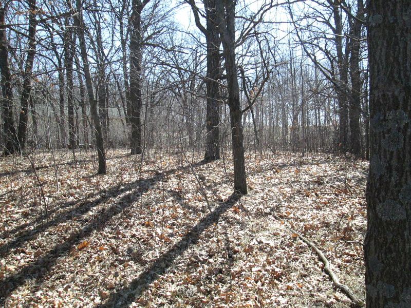 49xxx 300th St, Henning, MN 56571