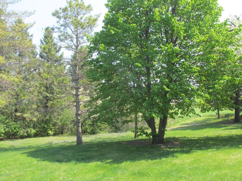 126 Vista Dr, Fergus Falls, MN 56537