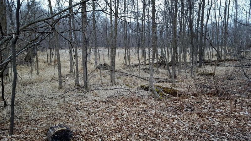 Xxxxx Bright Star Rd, Dent, MN 56528