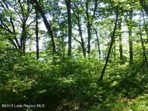 Xxx Boedigheimer, Perham, MN 56573