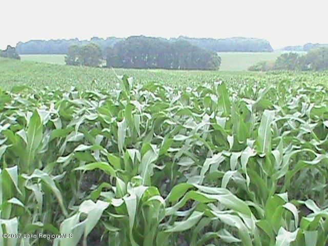 26060 Co Hwy 18, Fergus Falls, MN 56537