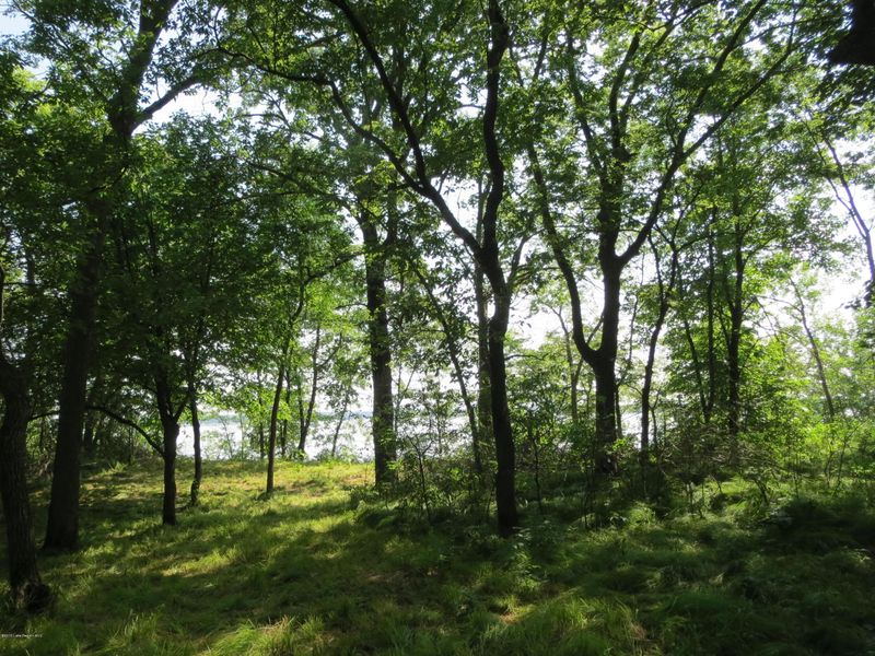 46186 Little Pine Loop, Perham, MN 56573