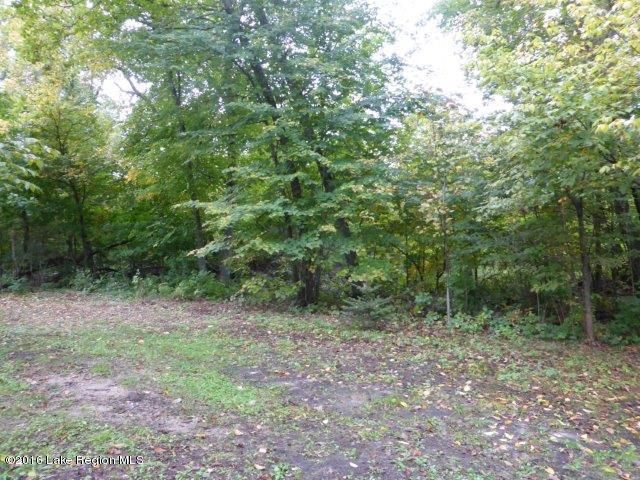 Xxxxx Sugar Maple Ln, Ottertail, MN 56571