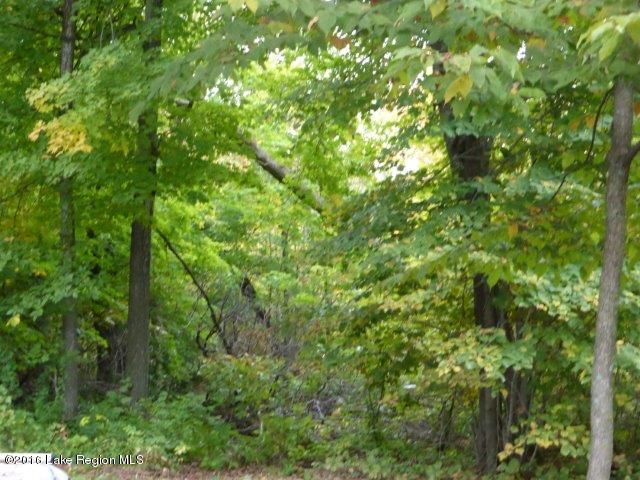 Xxxxx Sugar Maple Ln, Ottertail, MN 56571