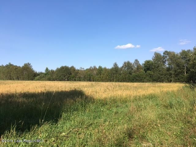 61476 Curve Rd, Wadena, MN 56482