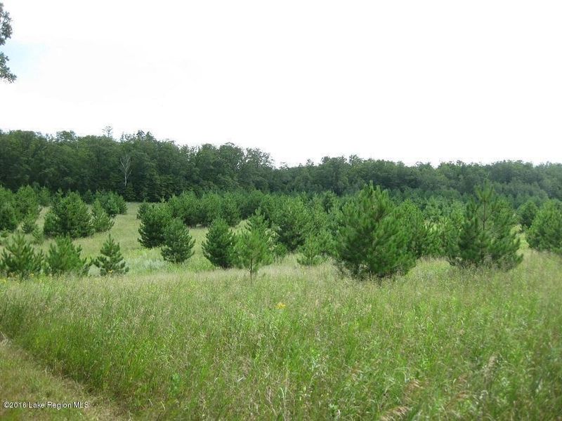 Xxx 313 St, Deer Creek, MN 56527