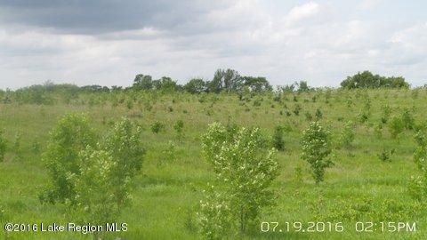 Xxxxx E Rosewood Trl, Dent, MN 56528