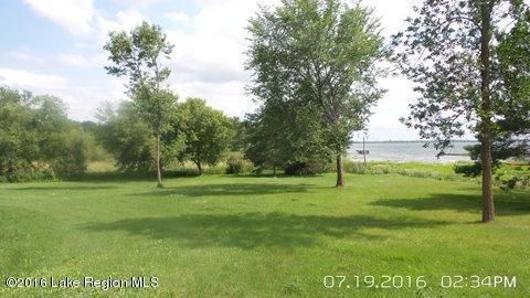 32382 E Rosewood Dr, Dent, MN 56528