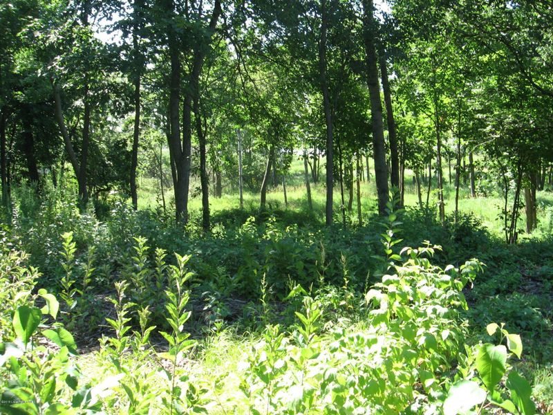 48000 Long Lake Rd, Ottertail, MN 56571