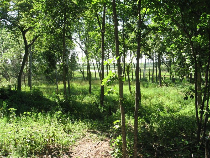 48000 Long Lake Rd, Ottertail, MN 56571