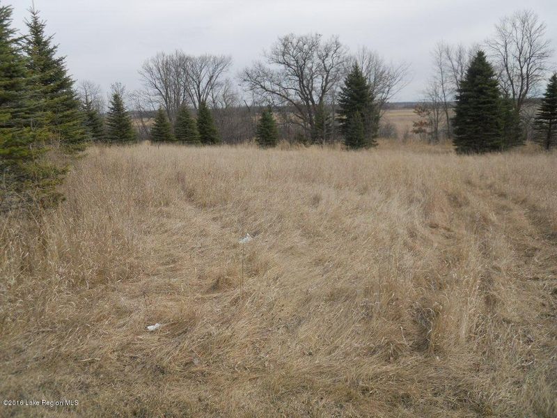 0000 Brandborg Creek Trl, Henning, MN 56586