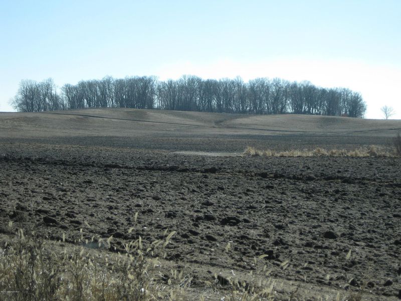 Xxx 430th St, Dent, MN 56528