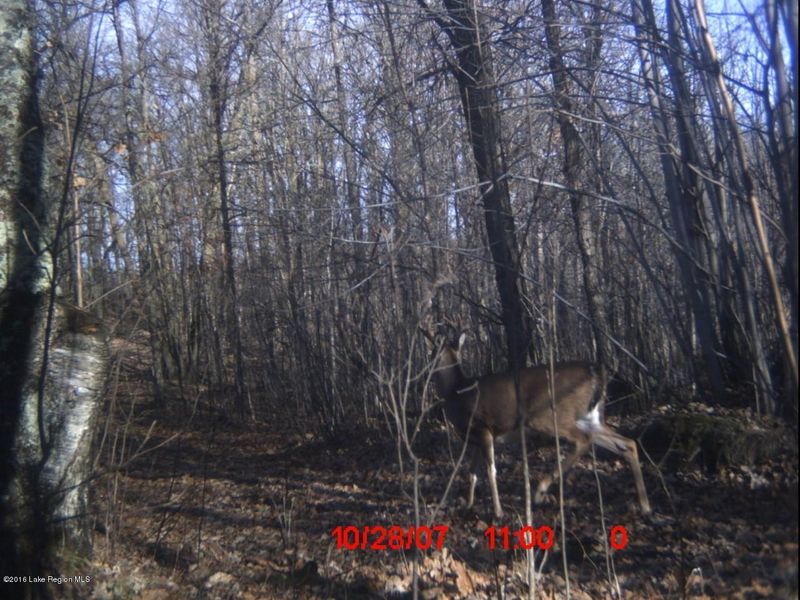 Xxx County 113, Waubun, MN 56589