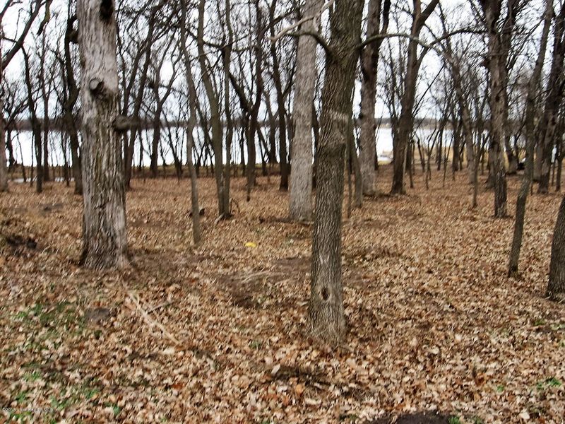 Lot 3 Thalmann Dr, Ottertail, MN 56571