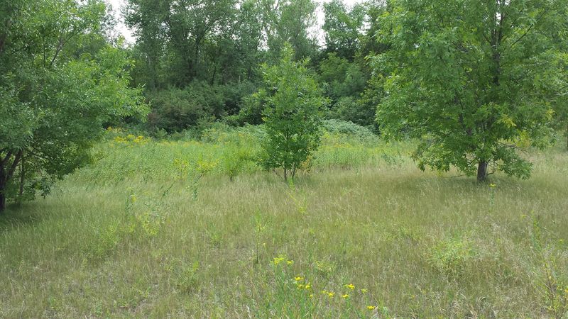 Lot 6 Oakview Heights Dr, Fergus Falls, MN 56537