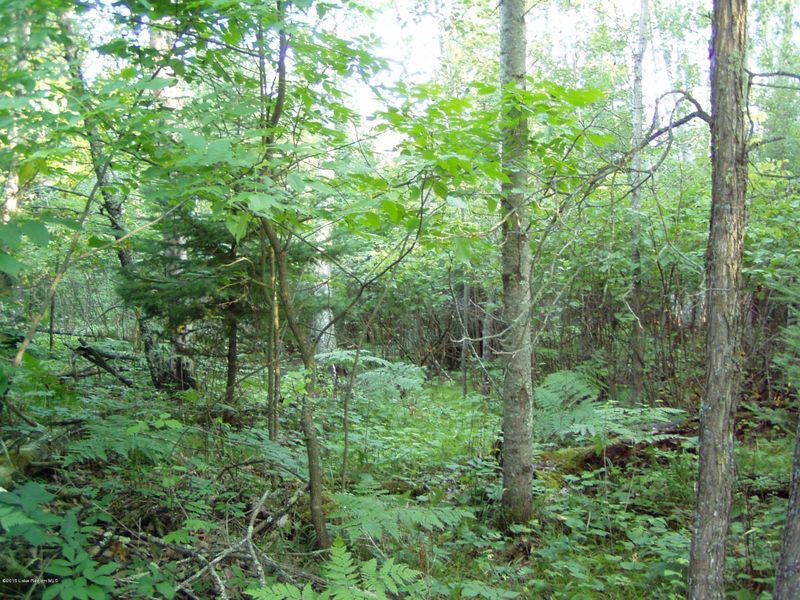 Lot 2 B-2 Falling Leaf Trl, Park Rapids, MN 56470