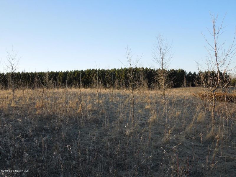 36749 370th St, Richville, MN 56576