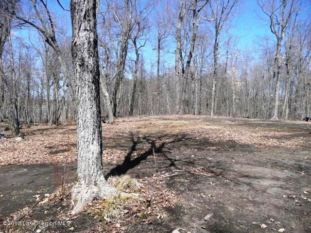 0 Blk 1 Birchwood Pk, Dent, MN 56528