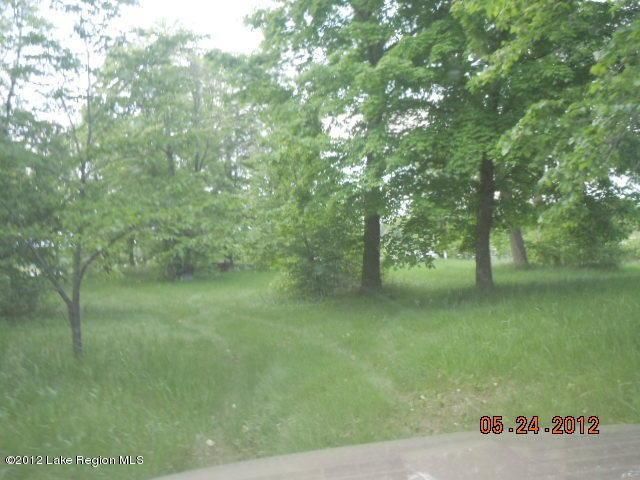 39533 300th Ave, Dent, MN 56528