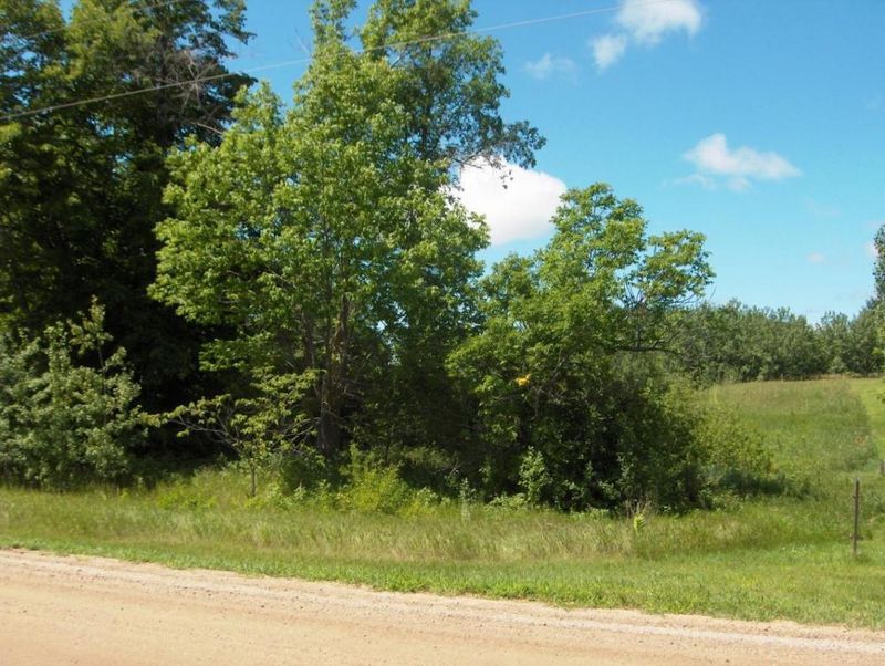 xxx 385th Ave, Dent, MN 56528