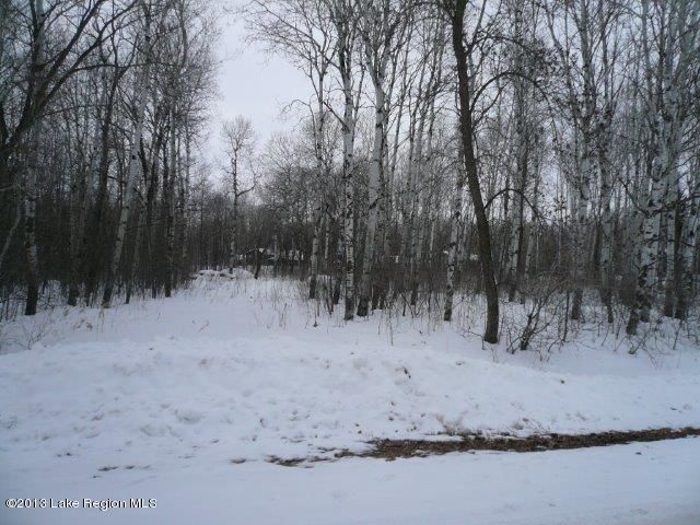 xxx Rus Dic Cir, Fergus Falls, MN 56537