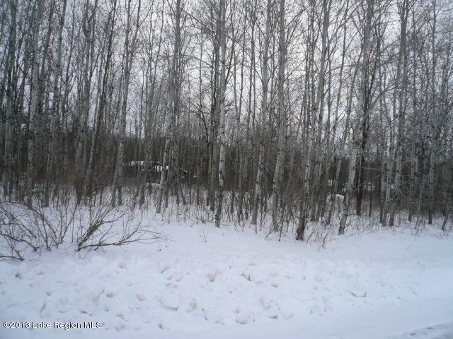 xxx Rus Dic Cir, Fergus Falls, MN 56537