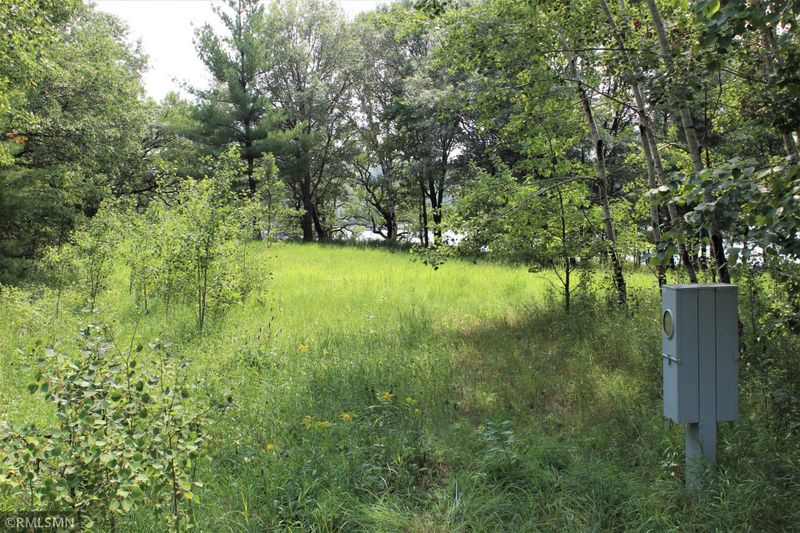 39834 Overshot Ct, Browerville, MN 56438