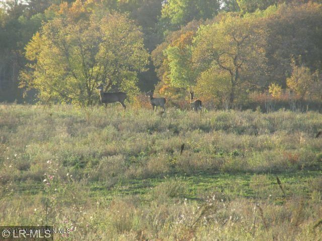 Xxx Tbd 400th Ave, Frazee, MN 56544