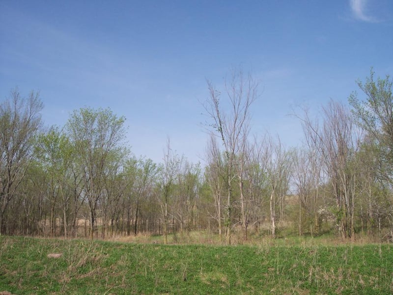XXXLot 2 Ingot Trl, Lonsdale, MN 55046