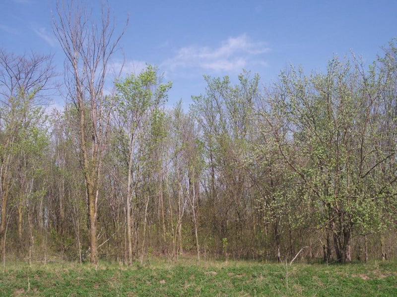 XXXLot 2 Ingot Trl, Lonsdale, MN 55046