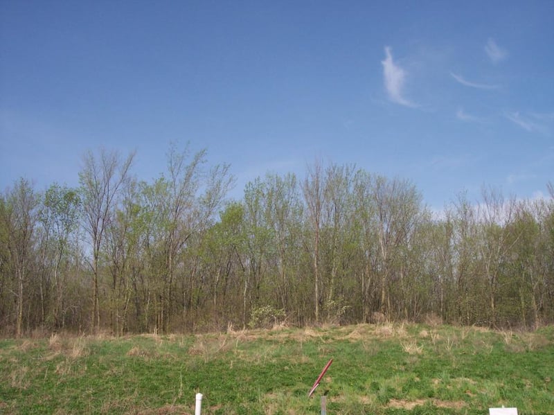 XXXLot 5 Ingot Trl, Lonsdale, MN 55046
