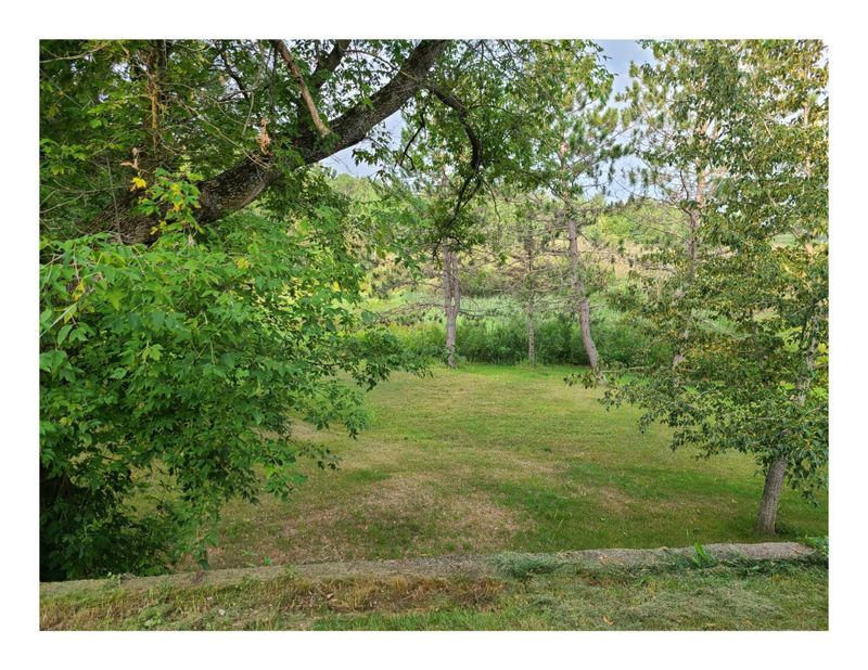 20463 Shawmut St, Ironton, MN 56455