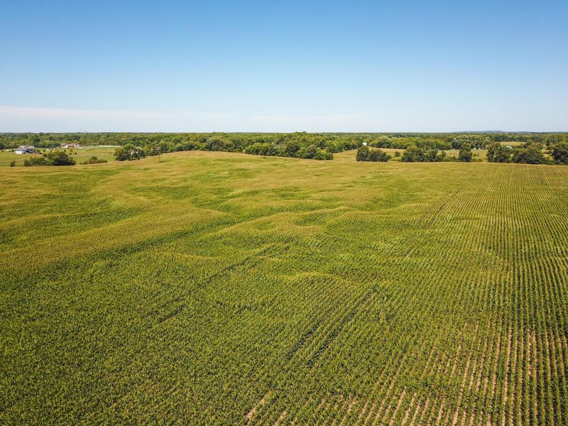 xxx 285th, Shafer, MN 55084